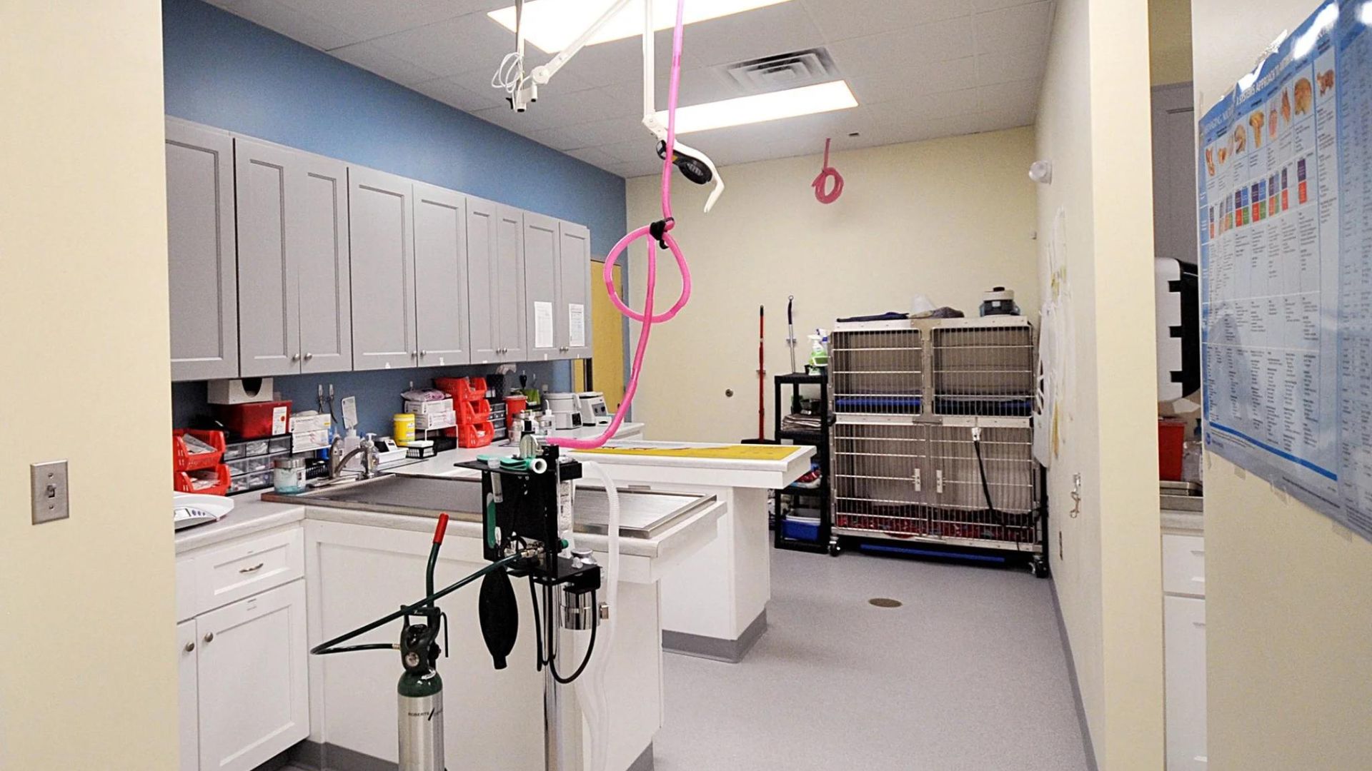 Indian Trail, NC 28079 Veterinary Services Lake Park Animal Clinic